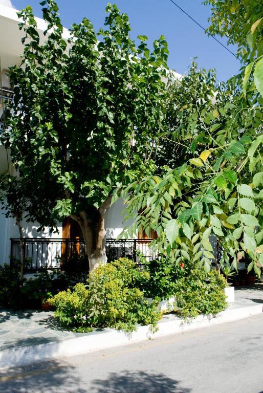 Oasis Studios Palaiochora Exterior photo